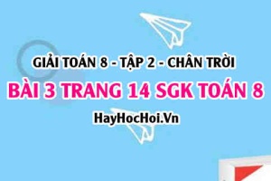 Bài 3 trang 14 Toán 8 Tập 2 Chân trời sáng tạo: Hệ Trục Tọa Độ Oxy & Hình Học